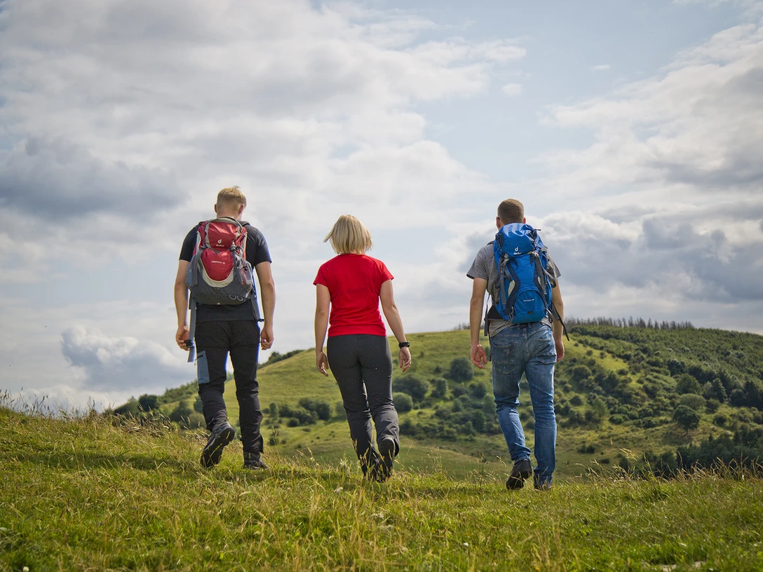 NaturparkHabichtswald Weg zumHohenDoernberg klein