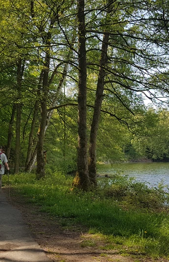 Seerundweg Silbersee Frielendorf