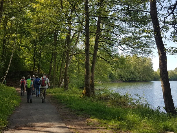 Seerundweg Silbersee Frielendorf