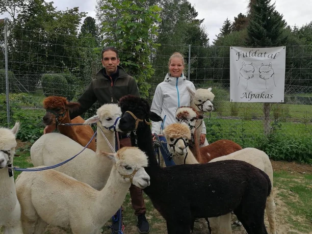 Fuldatal Alpakas