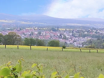 Minigolfplatz Frankenhain