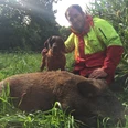 Revierjagdmeister Tim Brede mit Hund und Wildschwein
