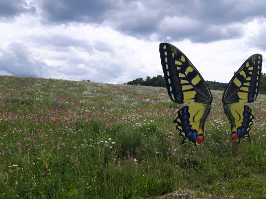 Fotopunkt Schmetterling