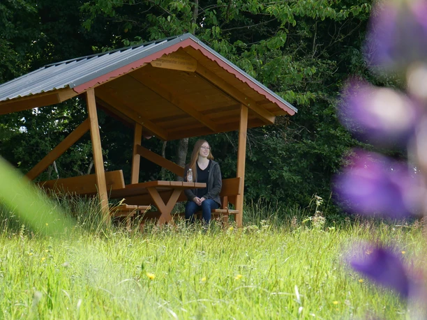 Rastplatz am Knüllköpfchen