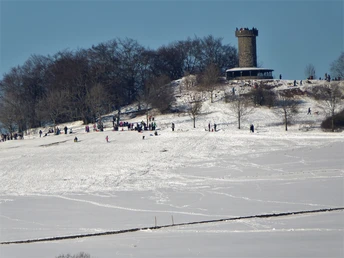 Schlittenwiese am Knüllköpfchen