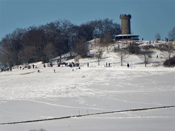 Schlittenwiese am Knüllköpfchen