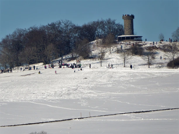 Schlittenwiese am Knüllköpfchen