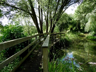 Kurpark Bad Emstal Brücke im Rosen-Garten