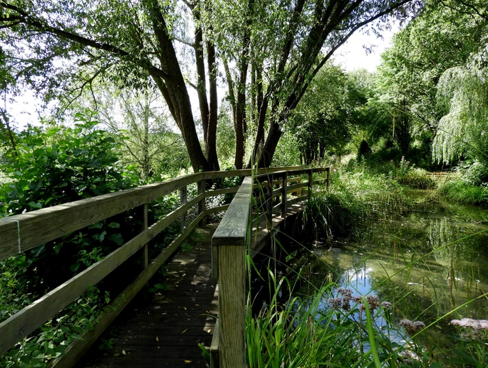 Kurpark Bad Emstal Brücke im Rosen-Garten