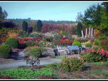 Rosengarten im Kurpark Bad Emstal