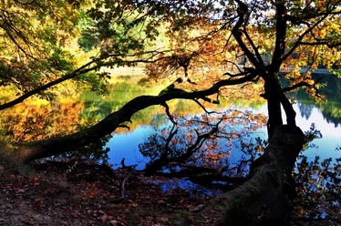 Rothbalzer Teich