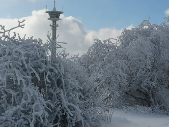 Winter am Eisenberg