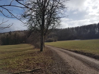 Wandern am Eisenberg