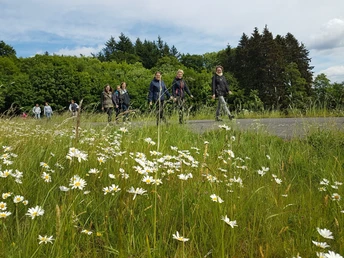 Blühende Natur am Eisenberg