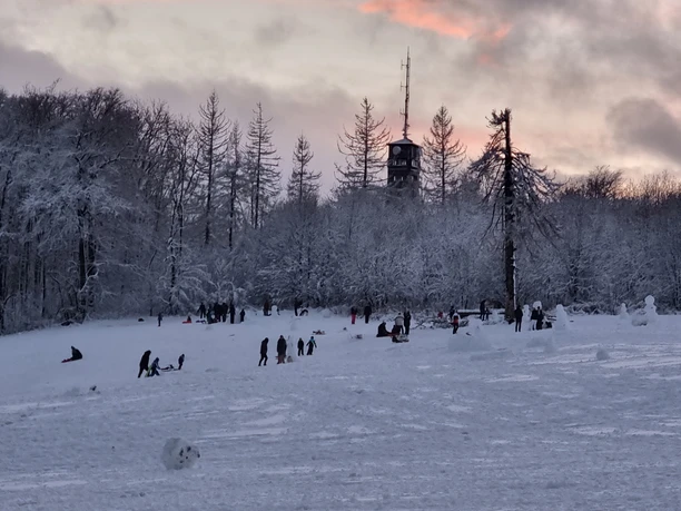 Schlittenfahren bis zum Sonnenuntergang
