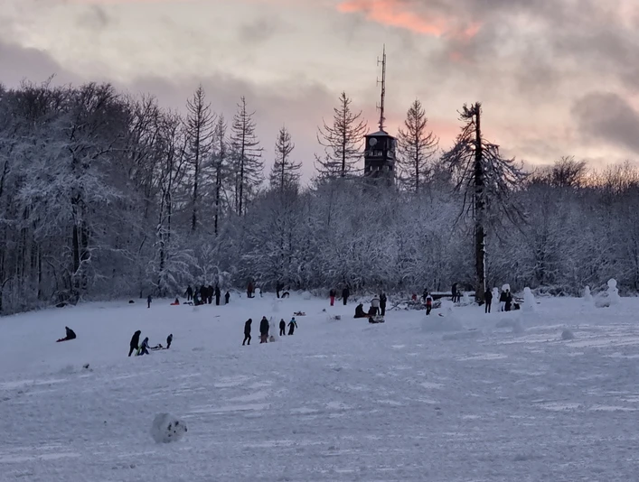 Schlittenfahren bis zum Sonnenuntergang