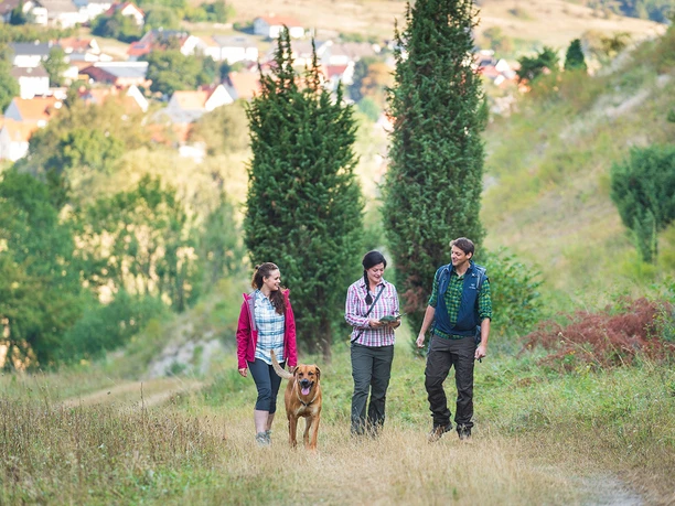 Eberschützer Klippen