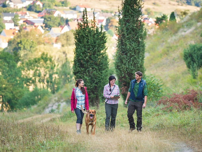 Eberschützer Klippen