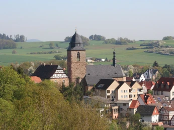 Blick auf Altstadt Naumburg von Westen