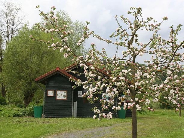 Hummelwerkstatt Obstblüte Naumburg Hessen