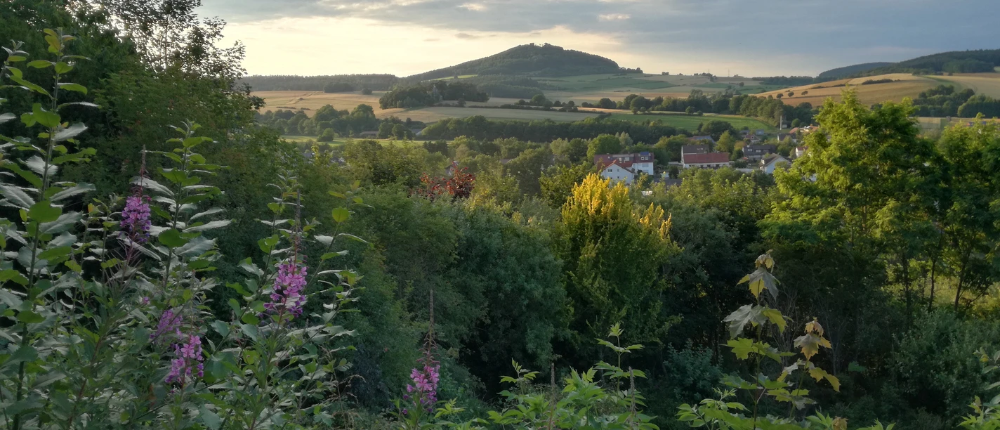 Blick vom Burghain Naumburg zur Weidelsburg