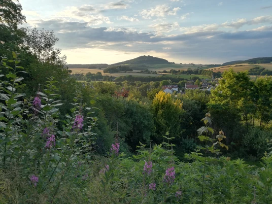 Blick vom Burghain Naumburg zur Weidelsburg