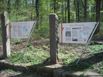 GeoStation Eisensteinweg Waldecker Berg