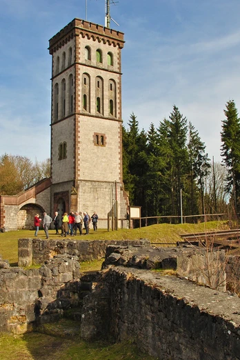 Eisenberg Ruine mit Georg-Viktor-Turm