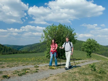 Unterwegs auf dem Uplandsteig