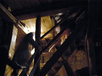 Aufgang zur Türmerstube der Nikolaikirchen Neukirchen/Knüll