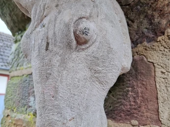 Neukirchen, Pferdekopf Falada an der Stadtmauer