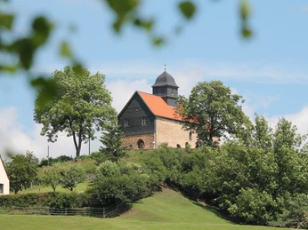 2014 Kapelle Schönberg_Bäume_GR