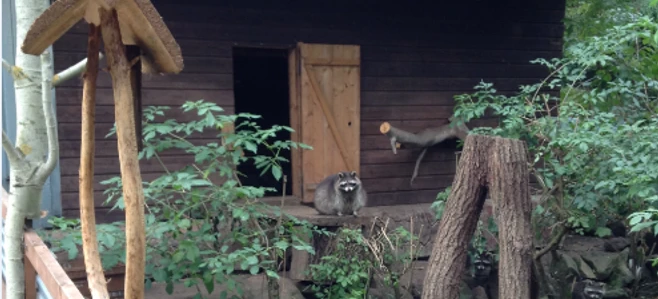 Melsungen_Tierpark Rose