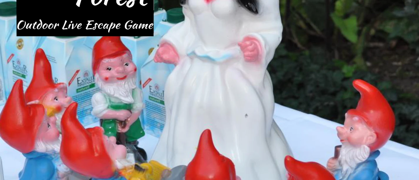 Escape Forest Schneewitt