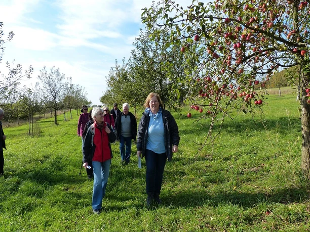 Streuobstwiese Niederlistingen Gruppenführung