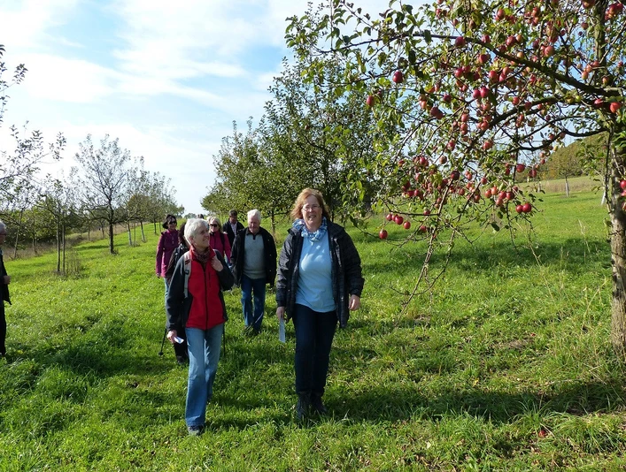 Streuobstwiese Niederlistingen Gruppenführung