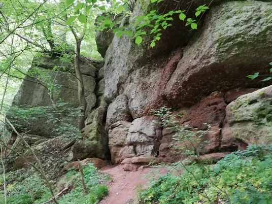 Ederstede bei Birkenbringhausen - Geotop des Jahres 2020