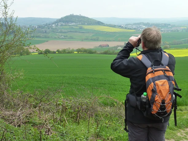 Mosenberg Blick zur Hohenburg