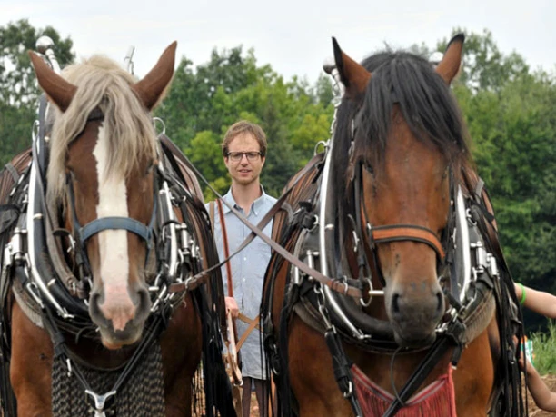 Tannenhof Zugpferde Biolandbetrieb Tannenhof