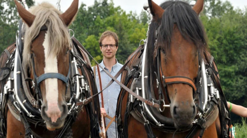 Tannenhof Zugpferde Biolandbetrieb Tannenhof