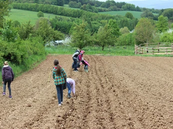 Feldarbeit Biolandbetrieb Tannenhof