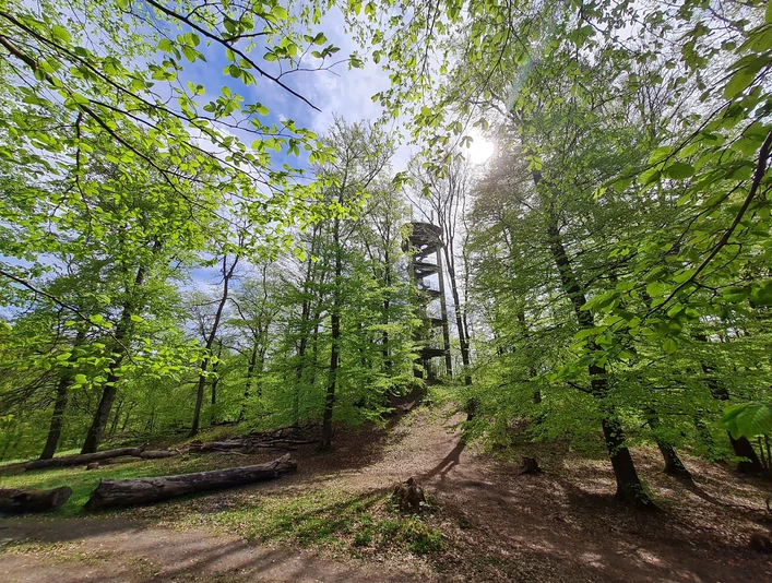 Mengshäuser Kuppe im Maiengrün