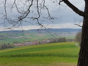 Mengshäuser Kuppe Ausblick vom Wanderweg