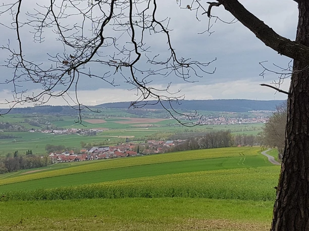 Mengshäuser Kuppe Ausblick vom Wanderweg