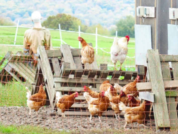 166742643 780164099288004 5227802338683601355 n