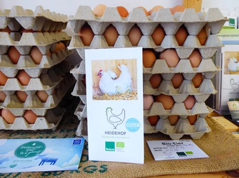 166204778 780163889288025 8469757736164198493 n