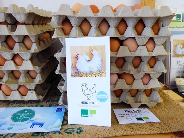 166204778 780163889288025 8469757736164198493 n