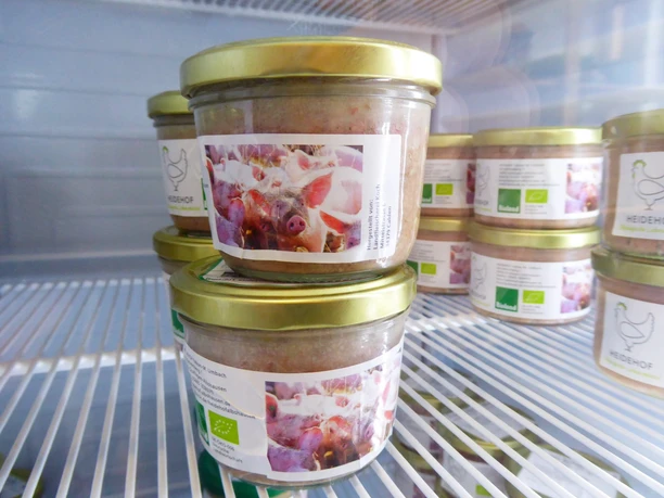 166555484 780164005954680 1255446862551967753 n