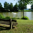 Freizeitsee Martinsweiher in Schauenburg Martinhagen