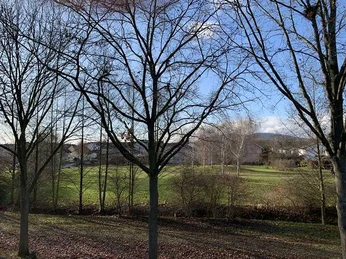 Aus dem großen Zimmer auf den Dorothea-Viehmann-Park sehend